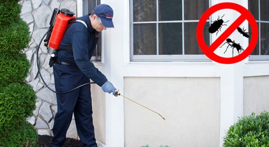 Evciler Kemirgen İlaçlama böcek ilaçlama ve haşere kontrolü — ilaclama-tr.com